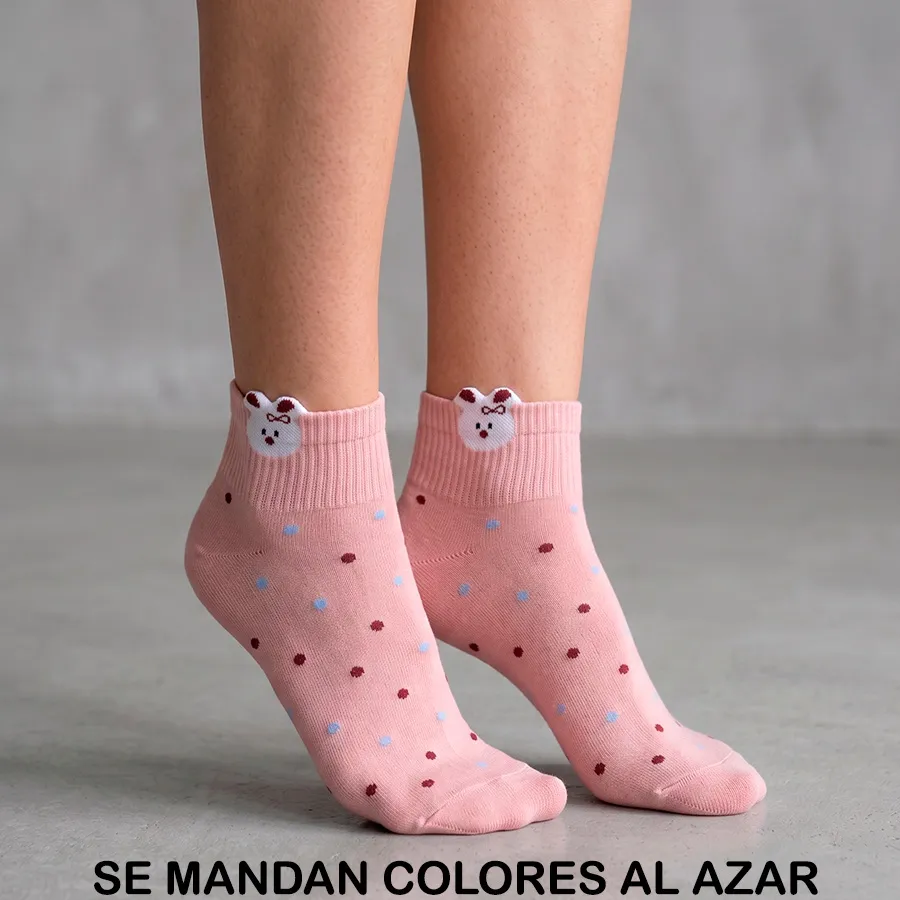 BE6016 EDICION 11877